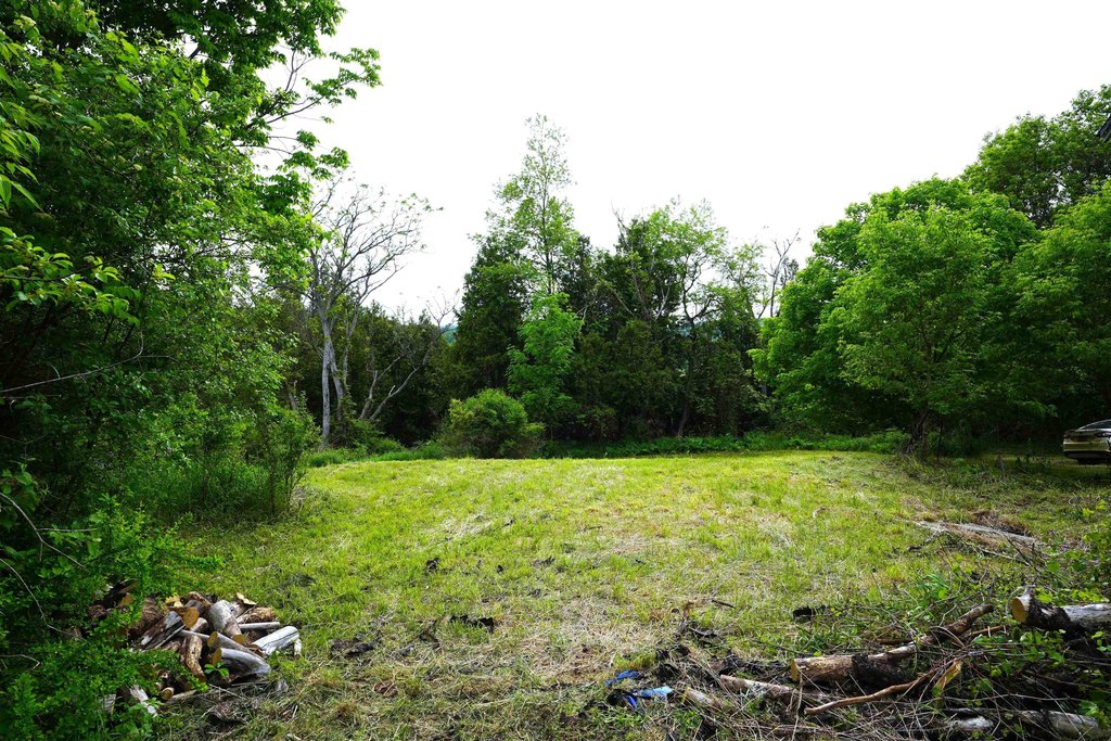 Picture 8