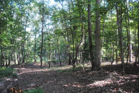 Land, LaFayette, GA