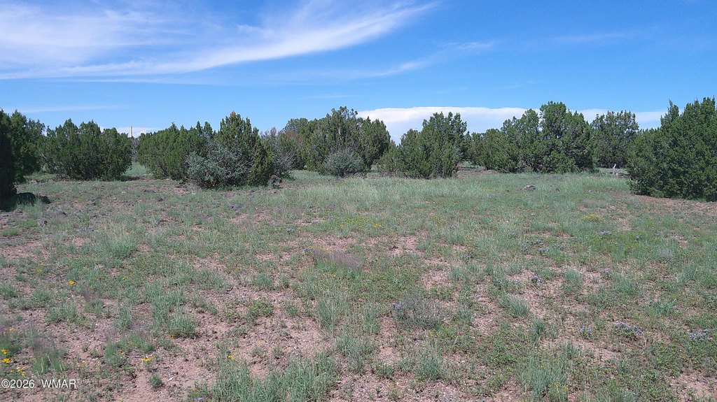 Picture 19