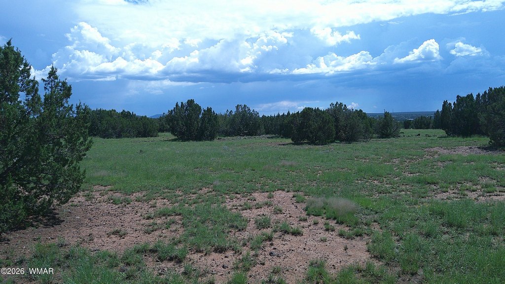 Picture 16