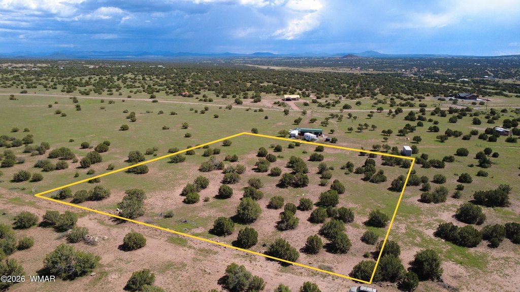 Picture 5