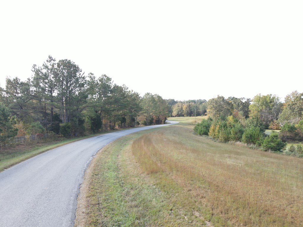 Picture 4
