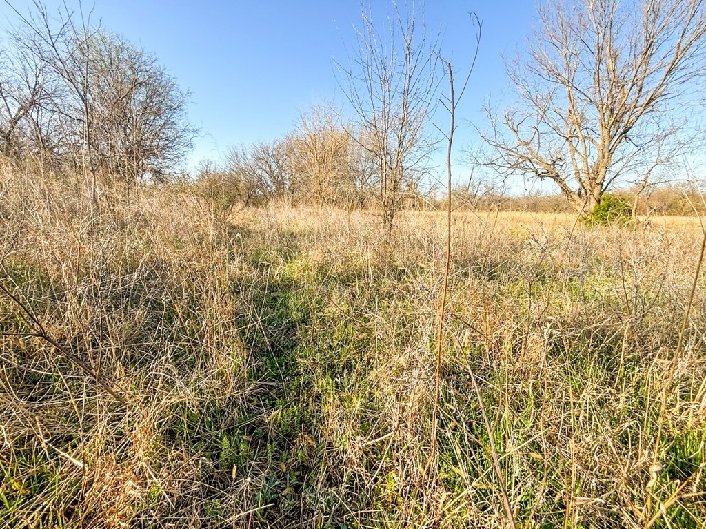 Picture 45