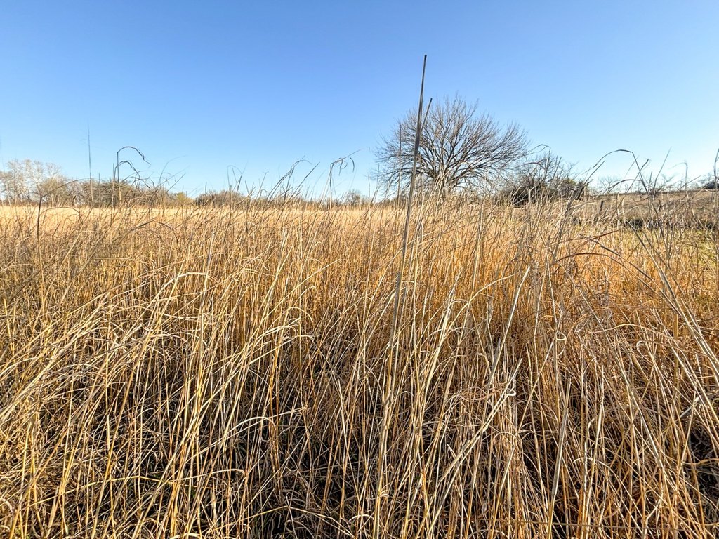 Picture 46