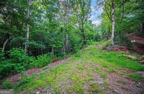 Ellijay, GA