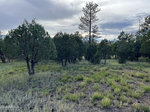 Lakeside, AZ Wooded Lot