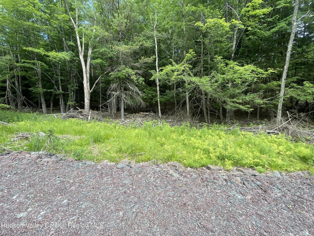 Picture 12