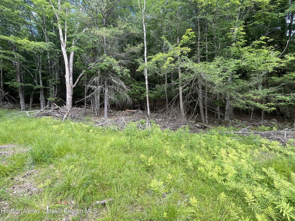 Picture 4