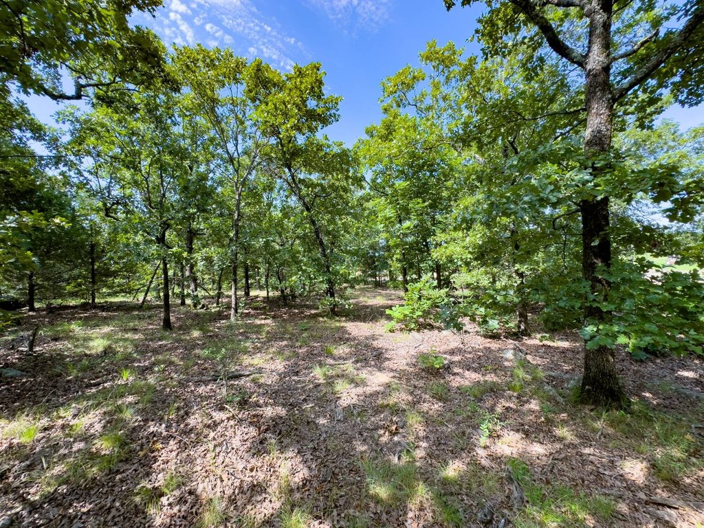 Picture 25