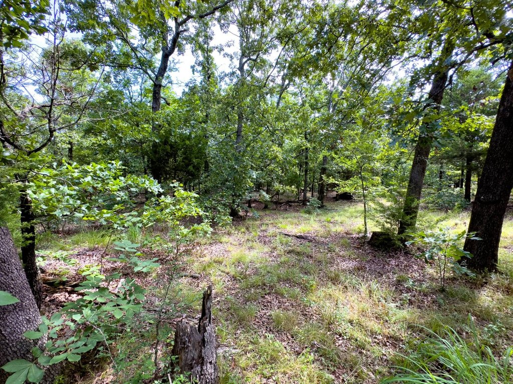 Picture 18