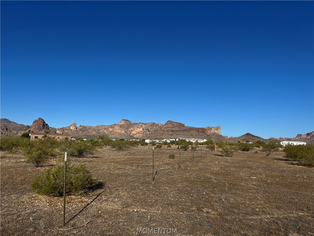 Picture 25