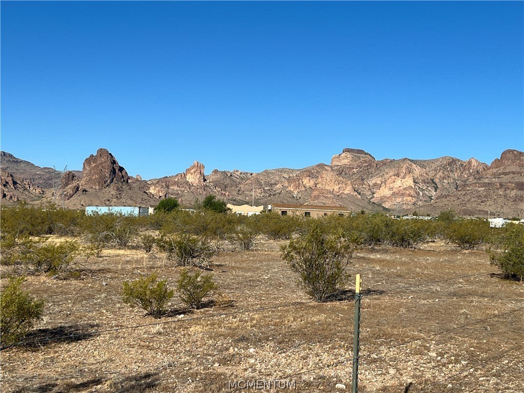 Picture 19
