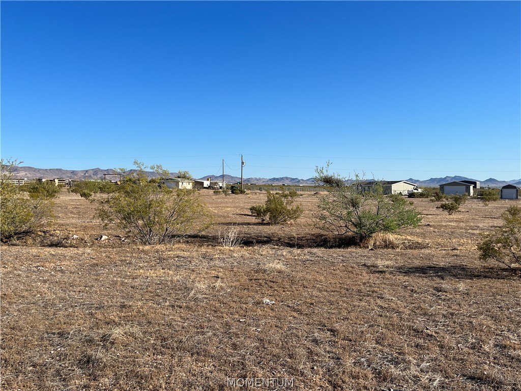 Picture 11