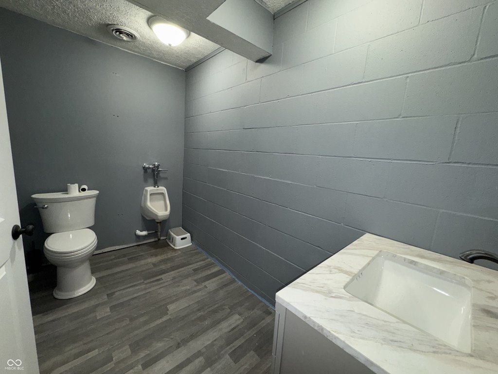 Picture 6