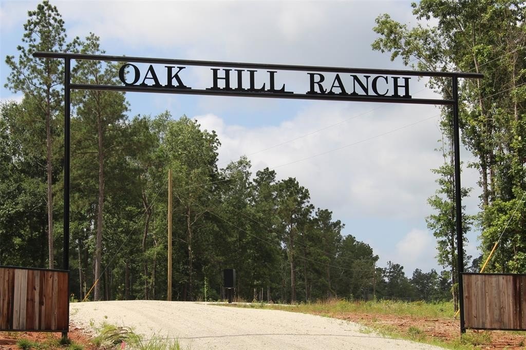 East Texas Land Tract