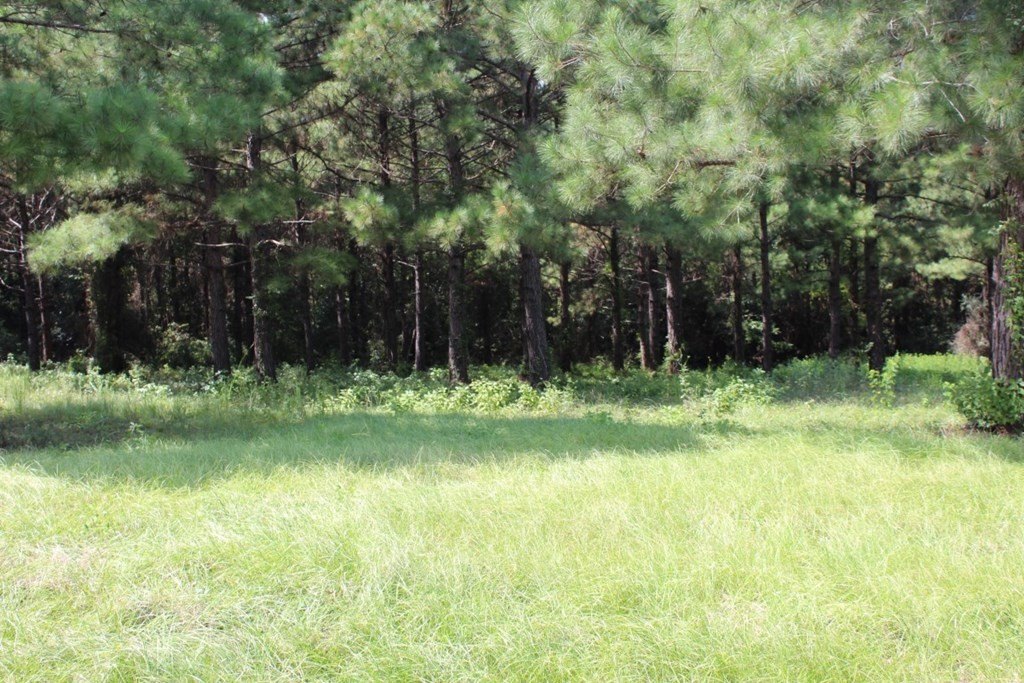 Picture 4