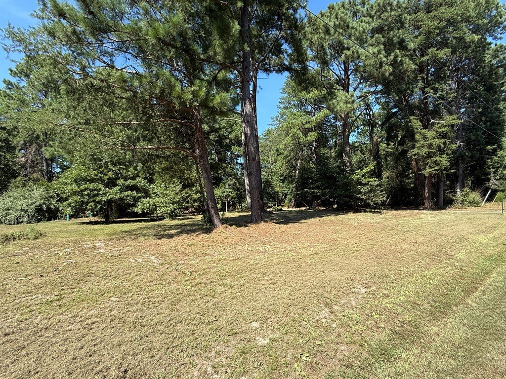 Picture 3