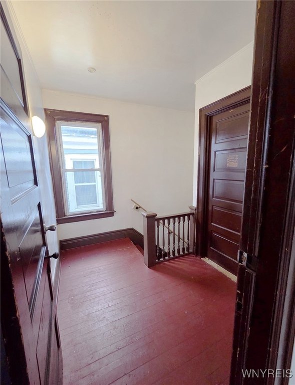 Picture 23