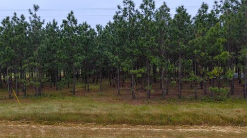 Land, Headland, AL