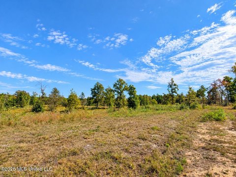 Land, Leakesville, MS