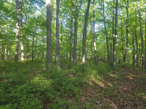 LAND - Lynchburg, VA