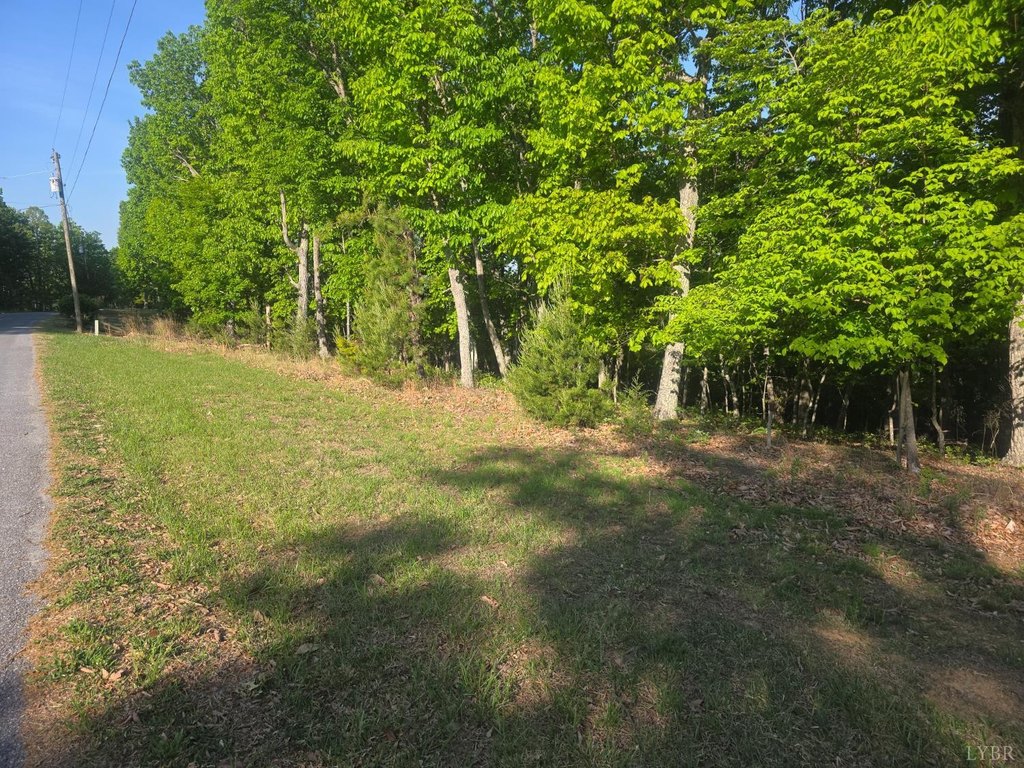 Picture 5
