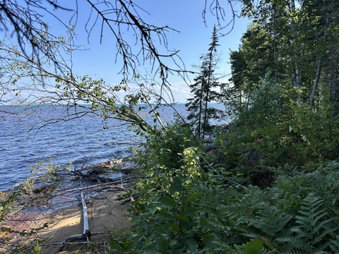 Waterfront Land with Creek