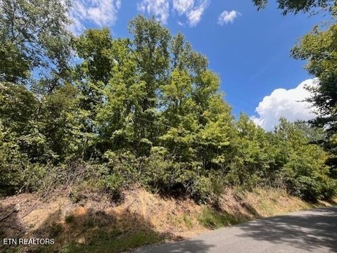 Lots & Acreage, Gatlinburg, TN