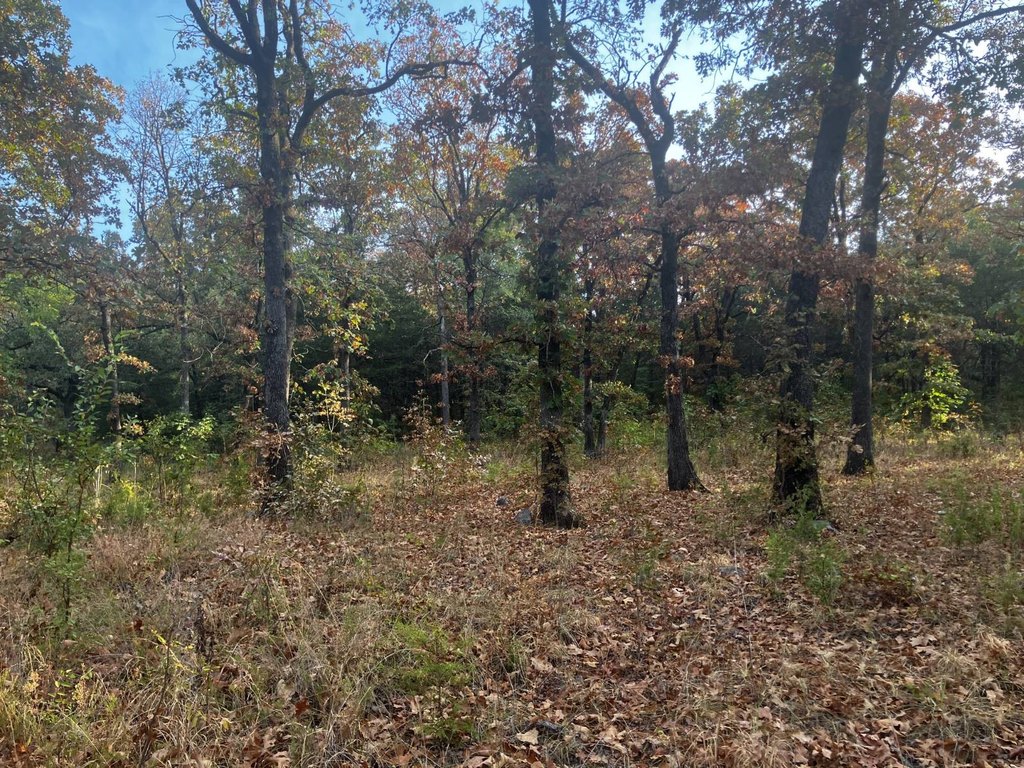 Picture 10