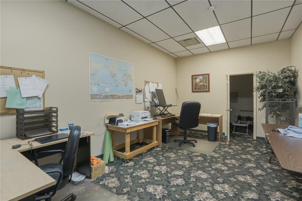 Picture 8