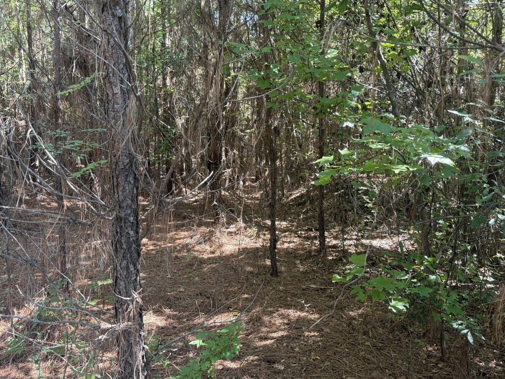 Picture 7