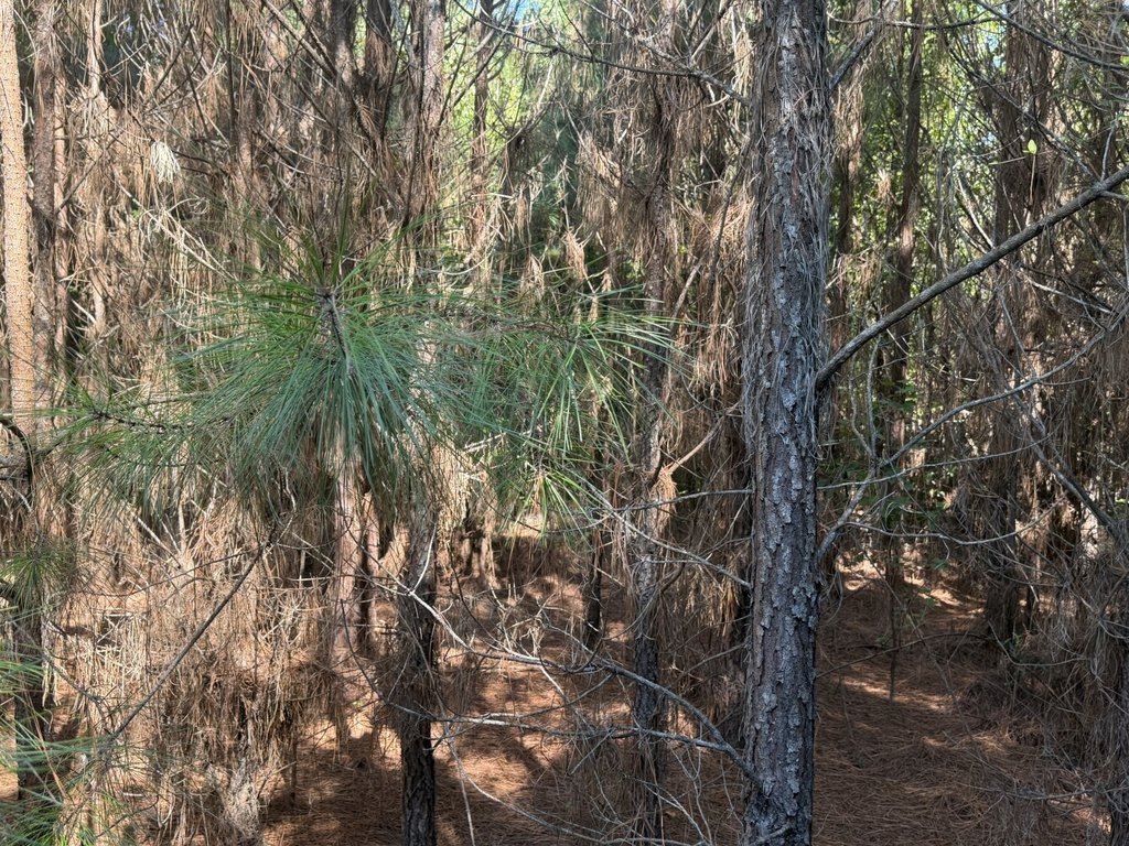 Picture 4