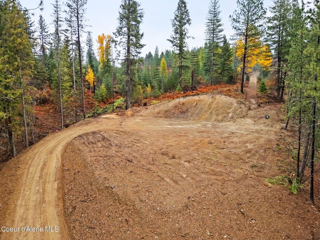 Picture 2