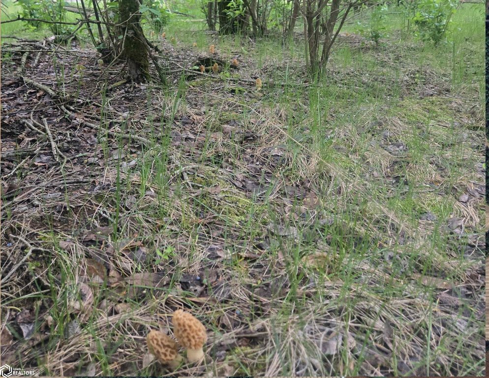 Picture 45