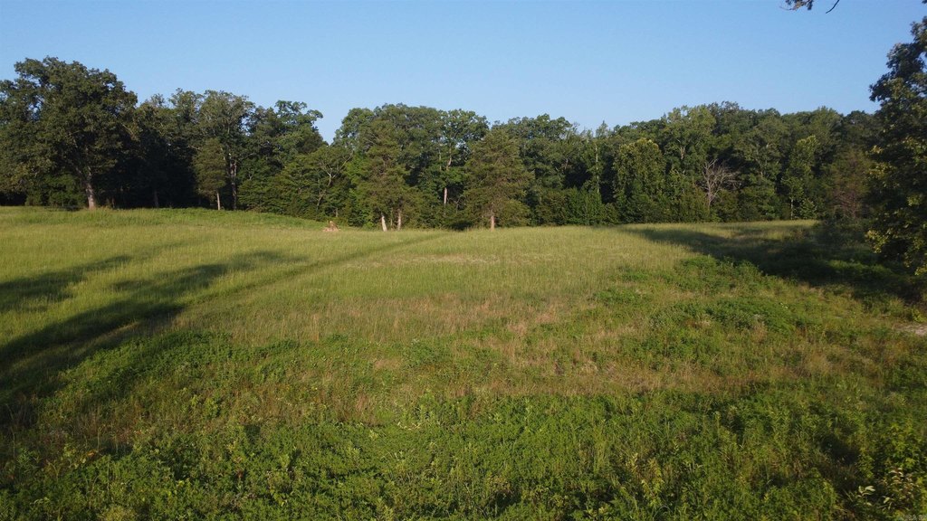 Picture 30