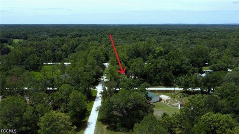 LAND - Webster, FL