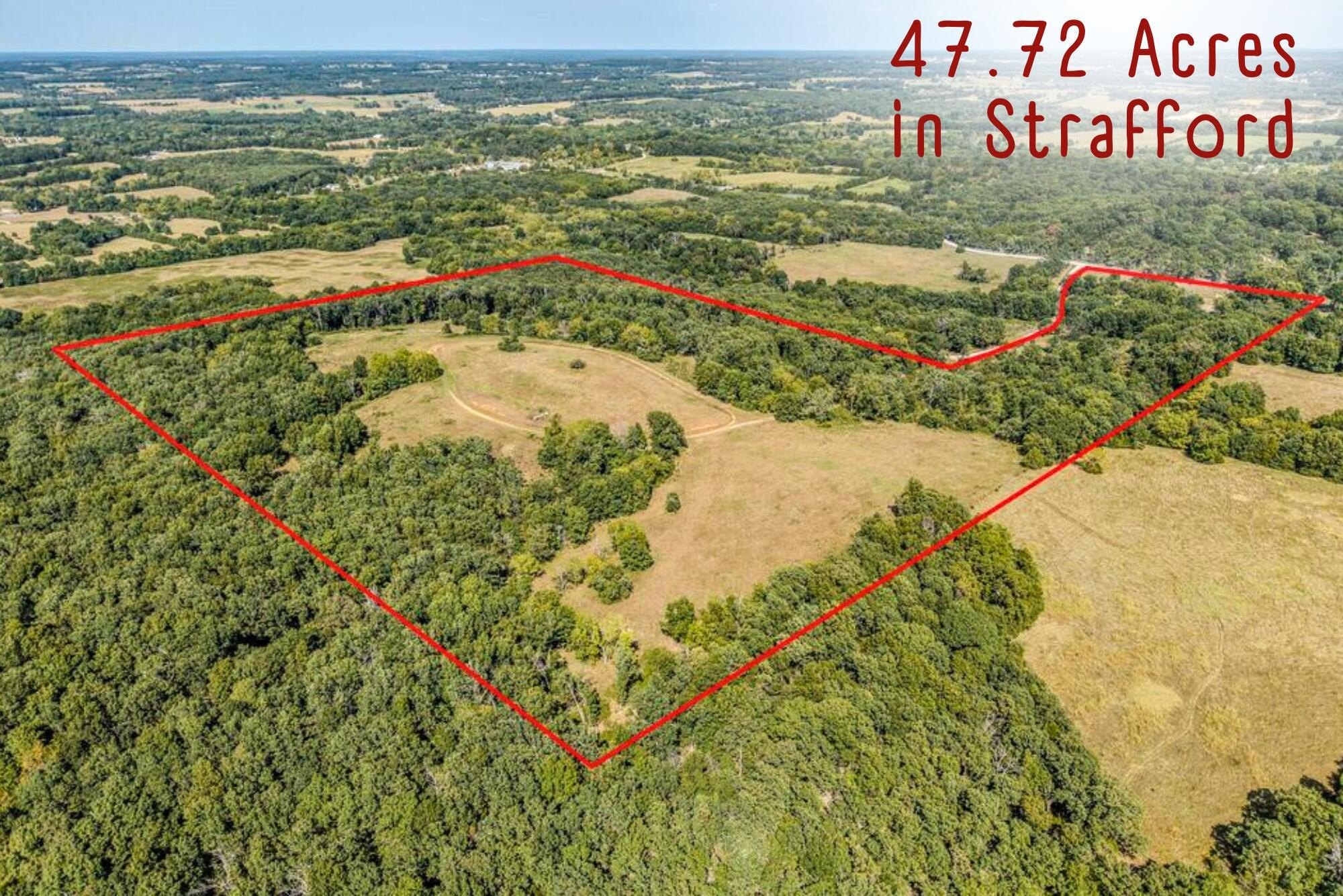 47+ Acres of Strafford Land