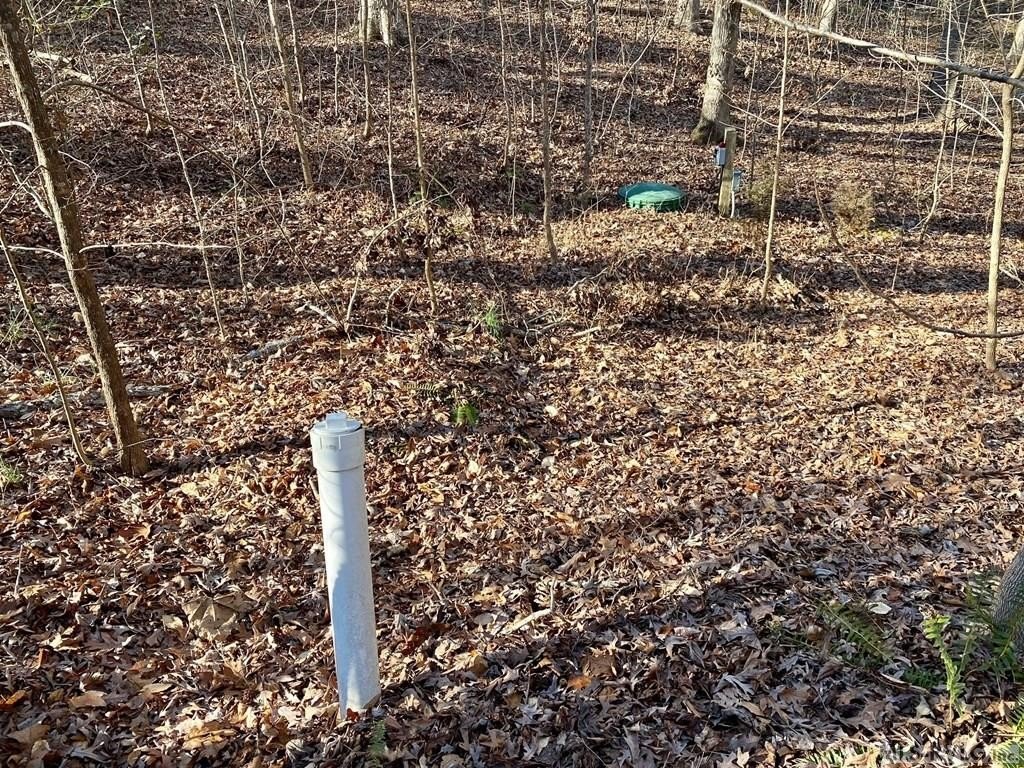Picture 10