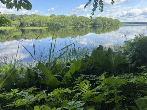 Waterfront Land Parcel with River Frontage