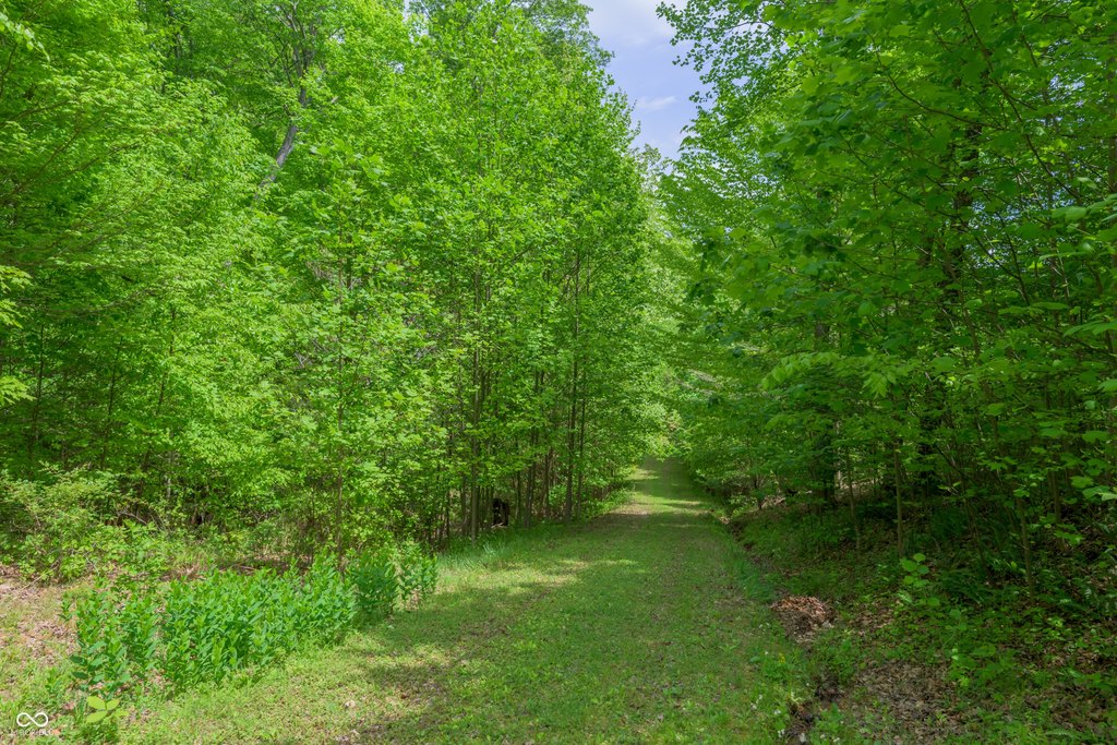 Picture 7