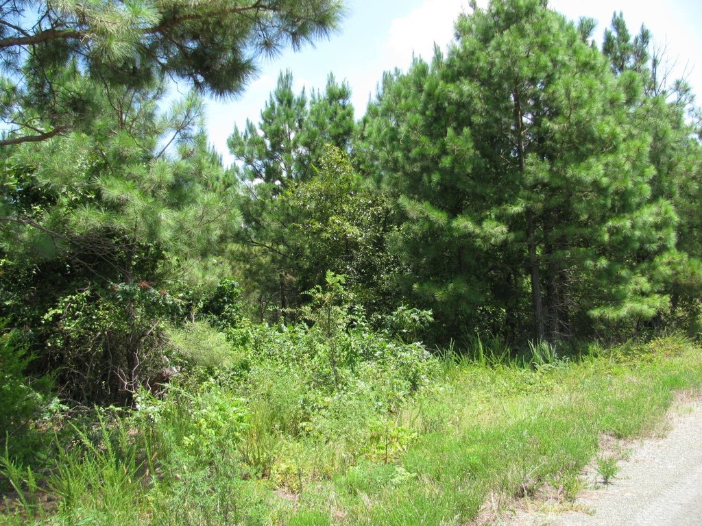 Picture 3