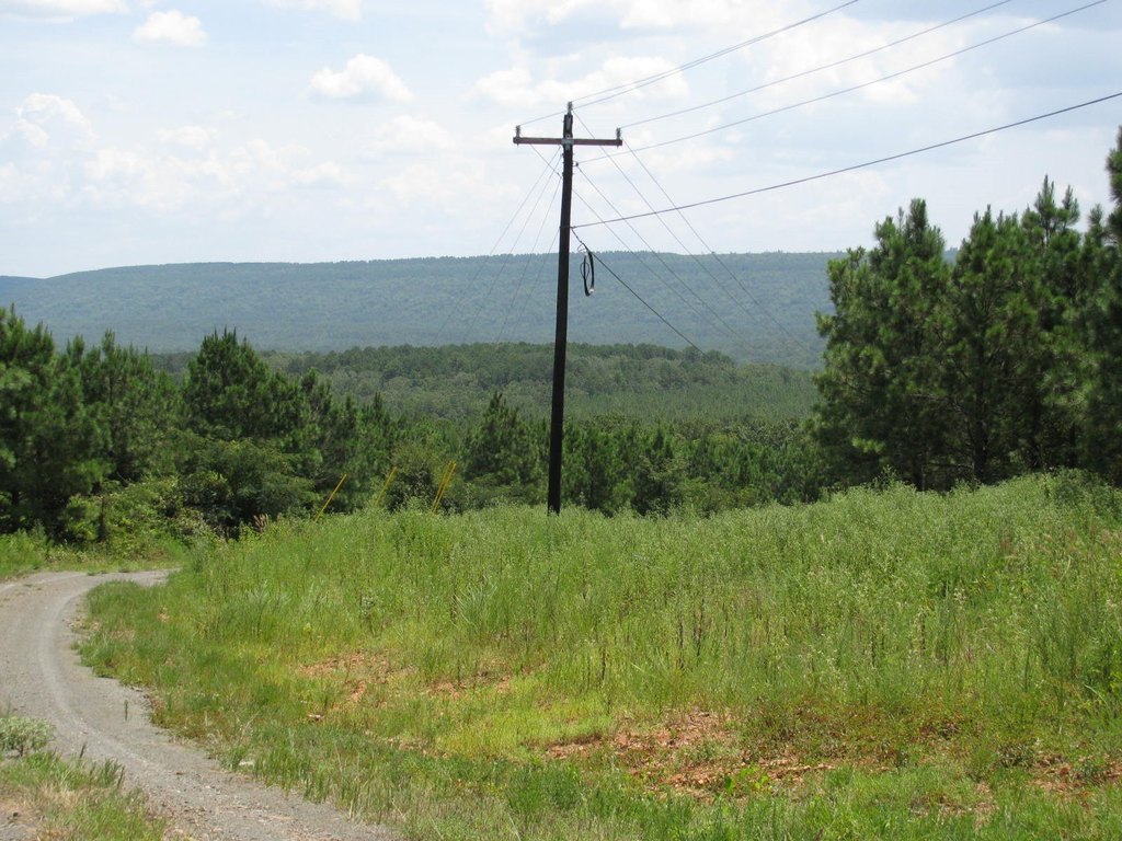 Picture 9