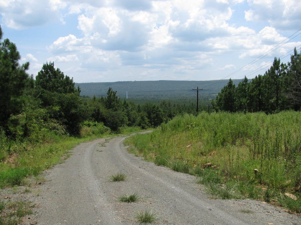 Picture 10