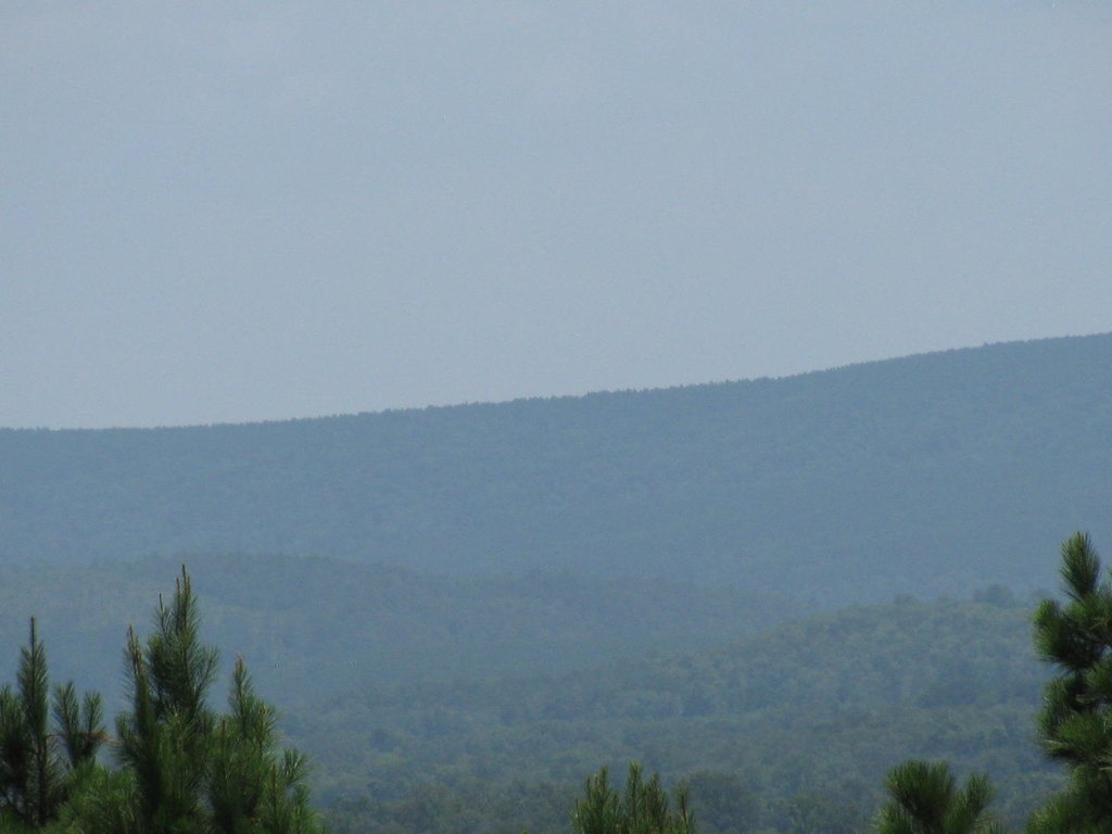 Picture 5