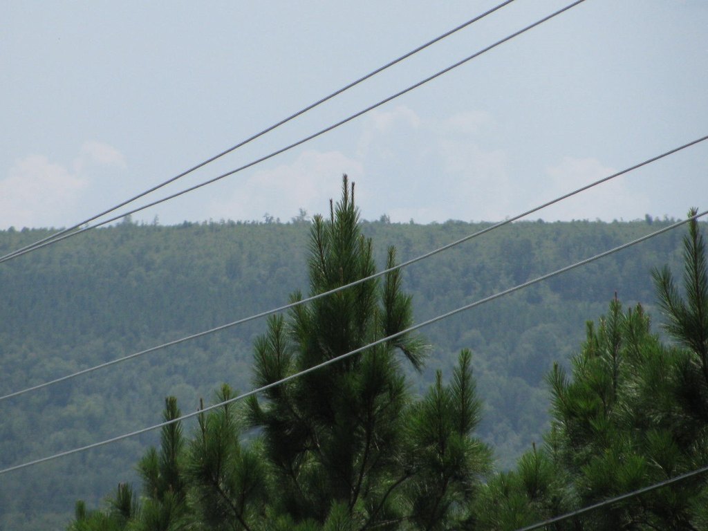 Picture 7