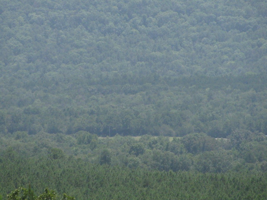 Picture 4