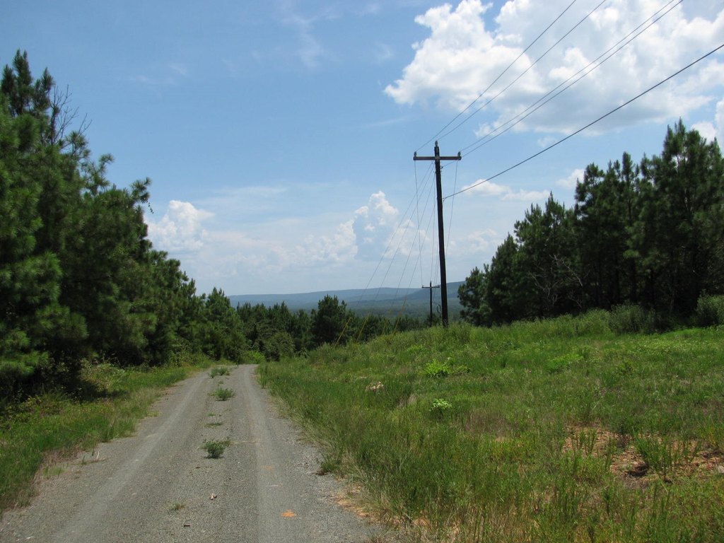 Picture 8