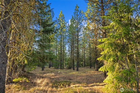 Buildable Homesite in Tumble Creek