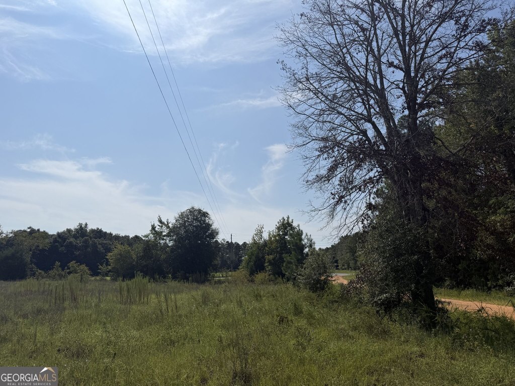 Picture 6
