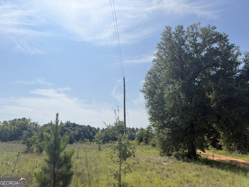 Picture 3